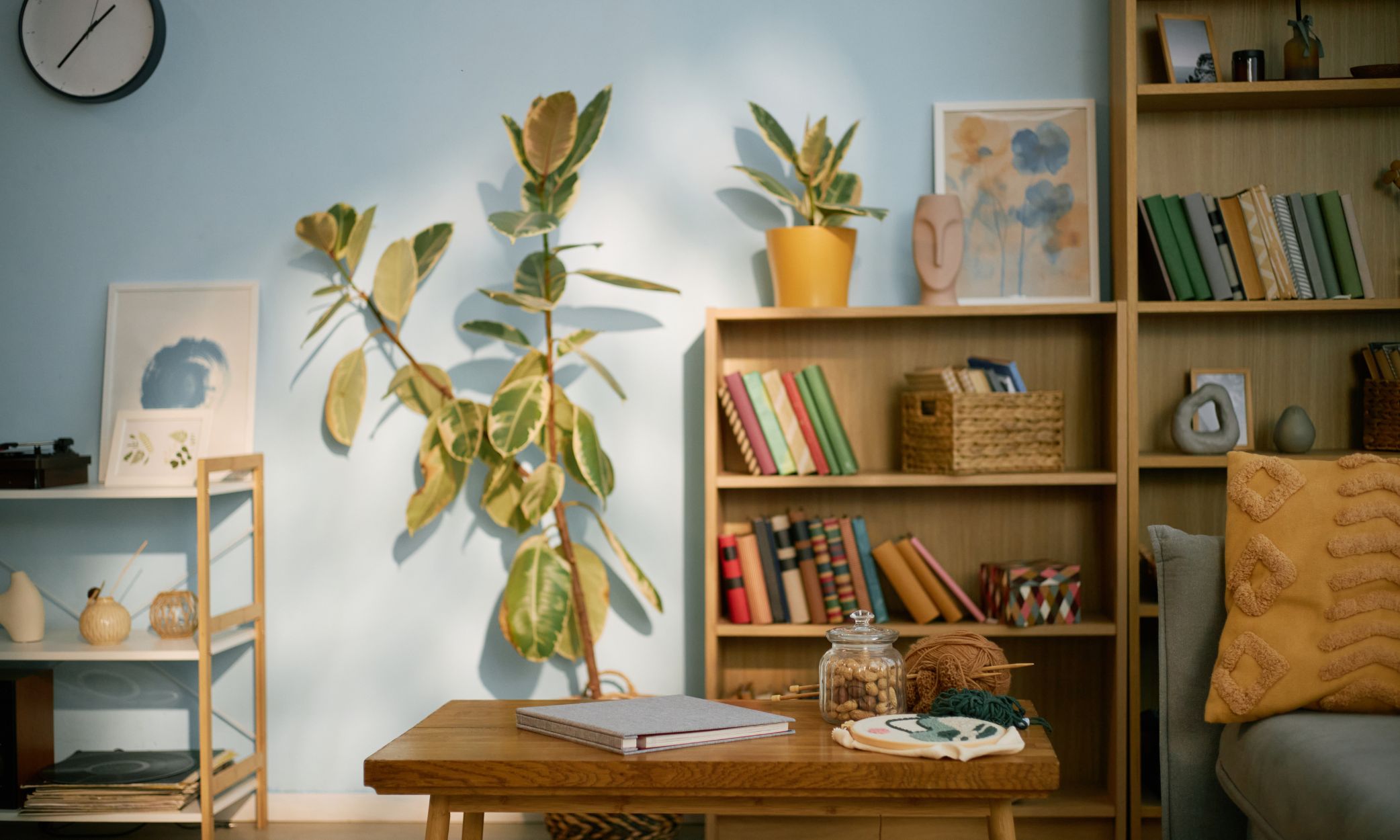 Highlighting bookcases as a storage solution